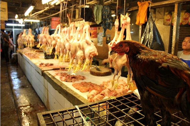 soku_11098.jpg :: 鳥 鶏 食べ物 食材 肉 インドネシア 