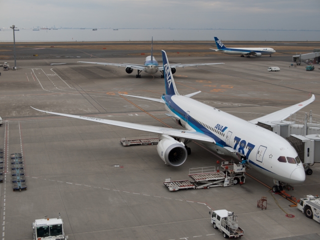 soku_11321.jpg :: 乗り物 交通 航空機 飛行機 風景 街並み 空港 ANA B.787 