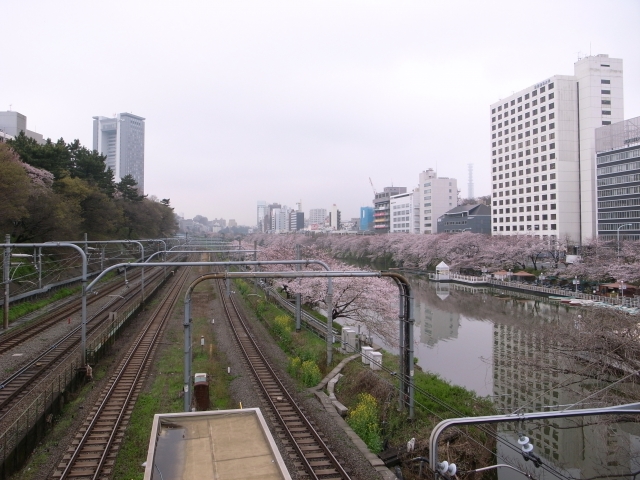 soku_12294.jpg :: 建築 建造物 線路 植物 花 桜 サクラ 