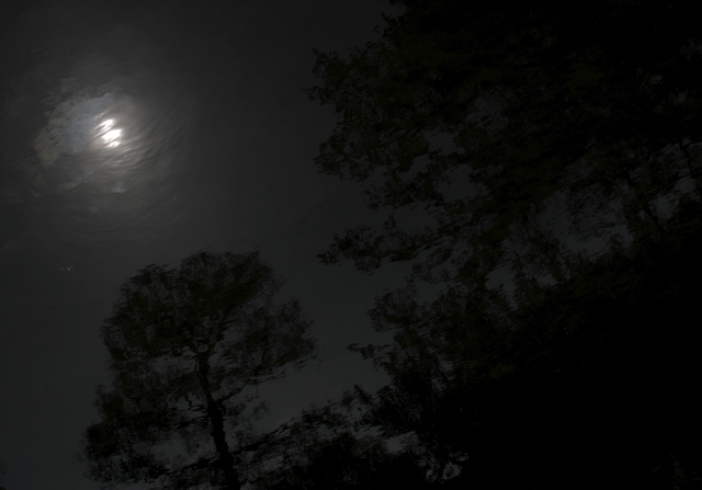 soku_12544.jpg :: 風景 自然 水面 光 反射 モノクロ 夜景 