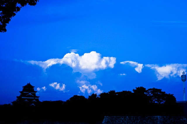 soku_12897.jpg :: 風景 自然 空 青空 雲 