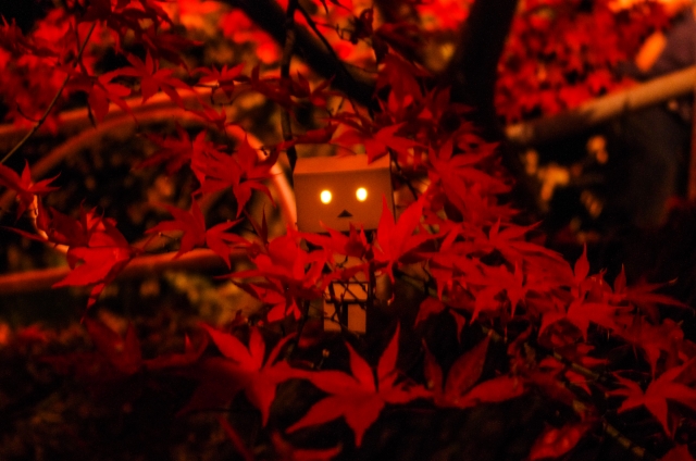 soku_13351.jpg :: 風景 自然 紅葉 赤い紅葉 アート 工芸品 クラフト 人形 フィギュア ダンボー 