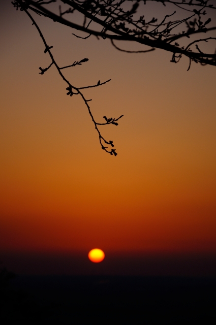 soku_13641.jpg :: 風景 自然 空 朝日 朝焼け 日の出 