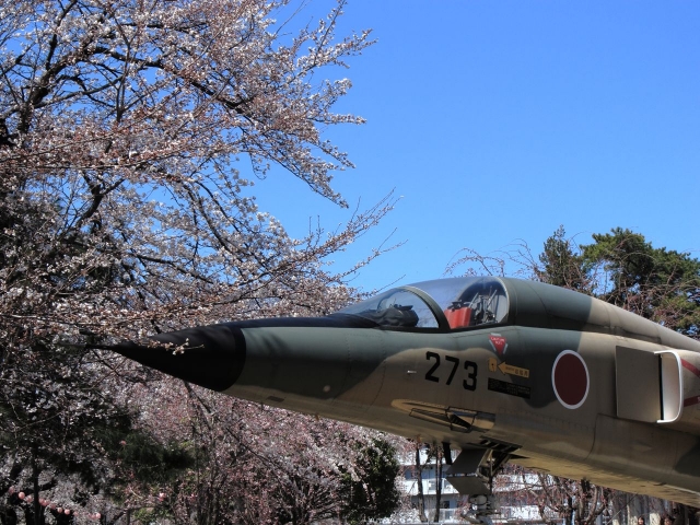 soku_14043.jpg :: PowerShotS95 風景 植物 花 桜 サクラ 飛行機 乗り物 熊谷基地さくら祭 