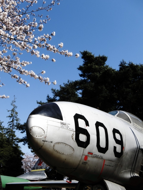 soku_14058.jpg :: PowerShotS95 風景 飛行機 植物 花 桜 サクラ 熊谷基地さくら祭 