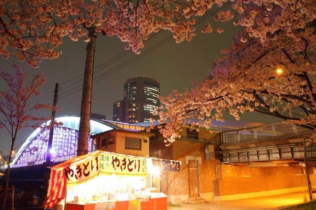 soku_14235.jpg :: 植物 花 桜 サクラ 夜桜 屋台 出店 やきとり 