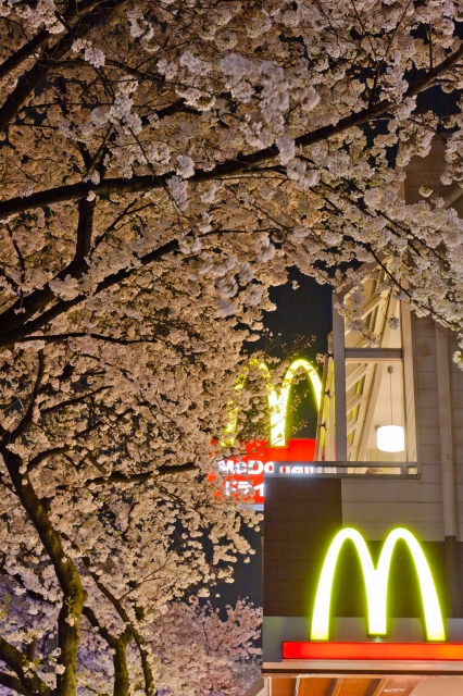 soku_14236.jpg :: 桜 夜桜 植物 マクドナルド マック マクド 