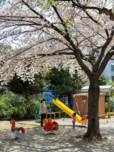 soku_14304.jpg :: 人物別 公園 遊具 お母さんと子供 