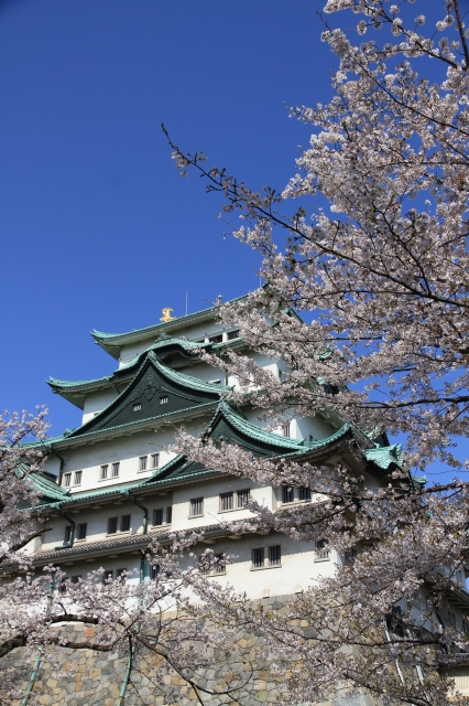 soku_14383.jpg :: 植物 花 桜 サクラ 建築 建造物 城 