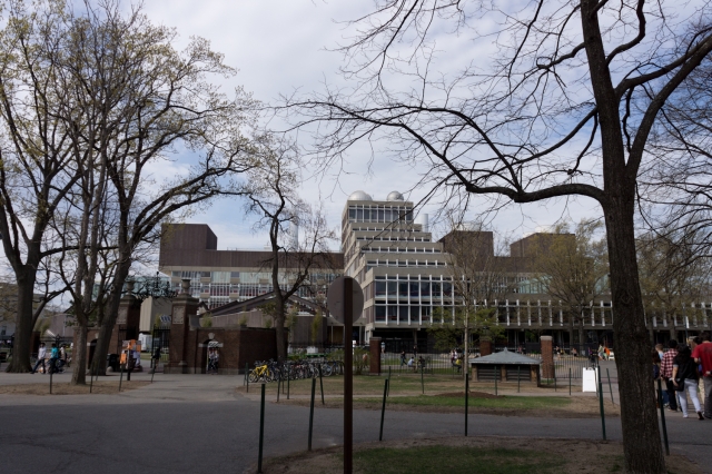 soku_14751.jpg :: ボストン ハーバード大学 M.O 