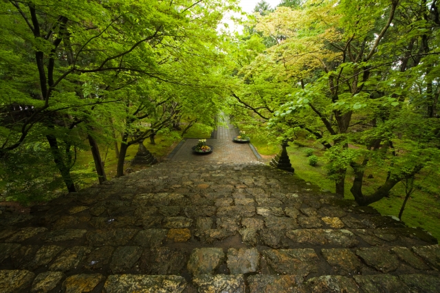soku_14827.jpg :: 風景 寺院 階段 新緑 雨 竹林寺 