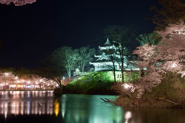 soku_14998.jpg :: 夜桜 高田城 