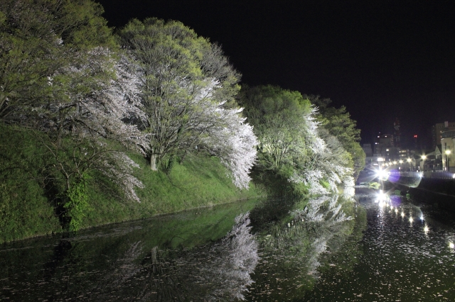 soku_15271.jpg :: 夜景 桜 川 