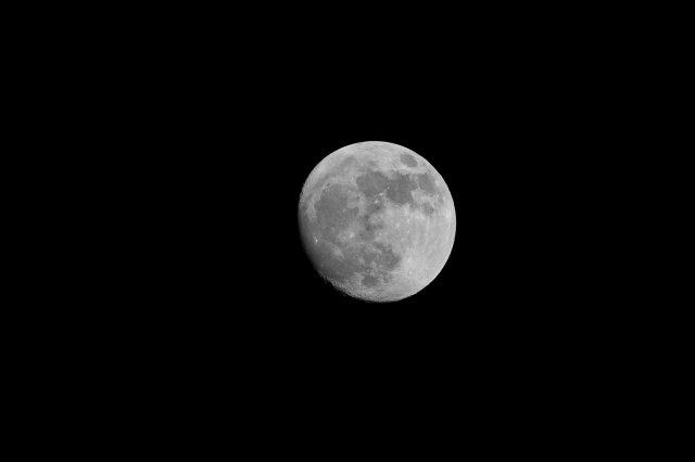 soku_15600.jpg :: 自然 天体 月 