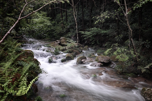 soku_15638.jpg :: 風景 自然 川 水分 