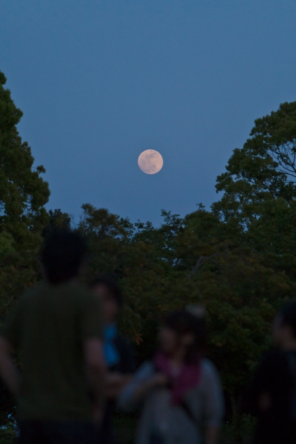 soku_15734.jpg :: 風景 自然 天体 月 満月 スーパームーン 