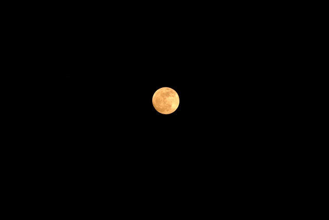 soku_15749.jpg :: 風景 自然 天体 月 満月 スーパームーン D3000 