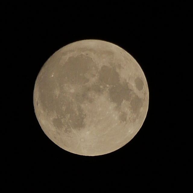 soku_15770.jpg :: 風景 自然 天体 月 満月 スーパームーン 