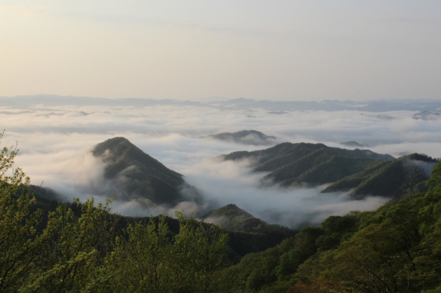 soku_15782.jpg :: 風景 自然 山 雲海 