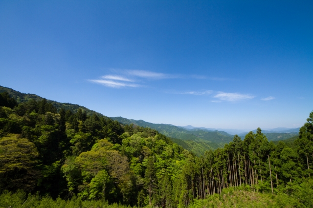 soku_15839.jpg :: 風景 自然 山 