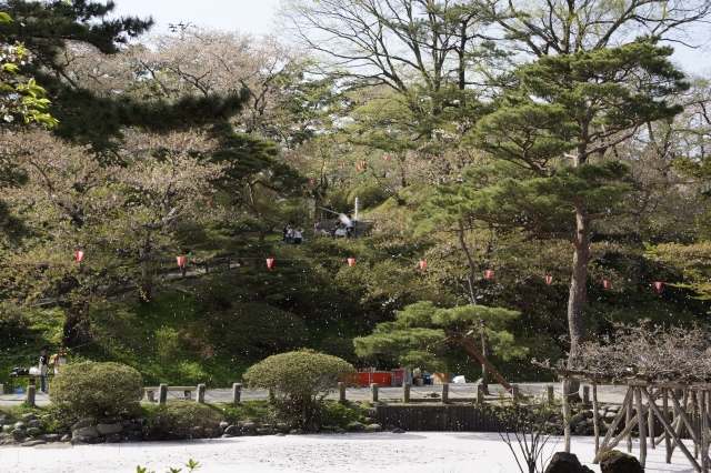 soku_15943.jpg :: 公園 庭園 日本庭園 