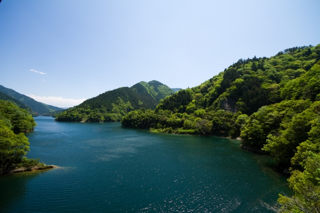 soku_15992.jpg :: 風景 自然 湖 早明浦ダム湖 