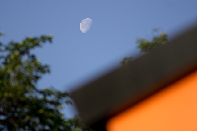soku_16149.jpg :: 風景 自然 天体 月 