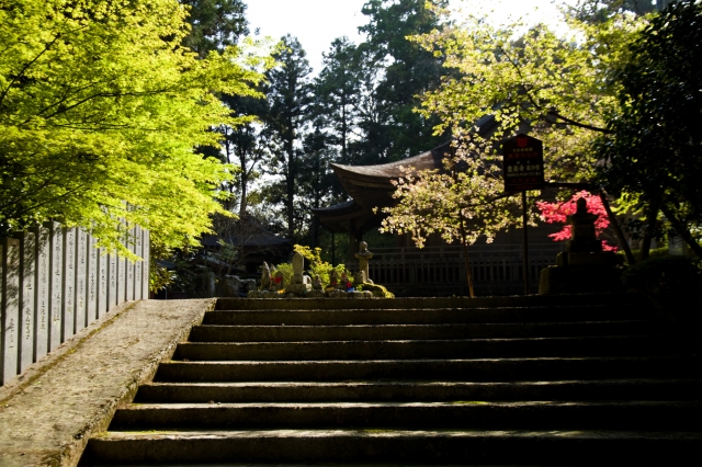 soku_16190.jpg :: 階段 国宝 豊楽寺 薬師堂 