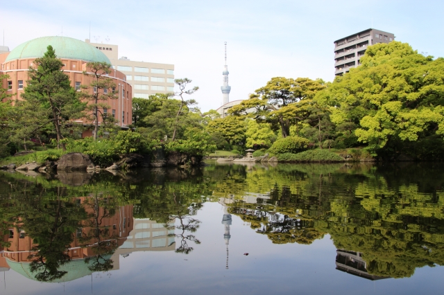 soku_16363.jpg :: 風景 自然 池 