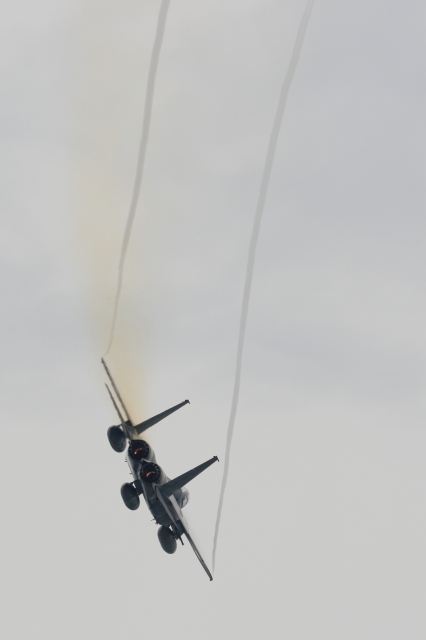 soku_16732.jpg :: F.15 機動飛行 飛行機 ヒコーキが足りない by 静浜基地航空祭 