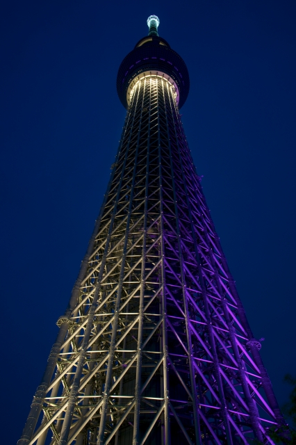 soku_16788.jpg :: 建築 建造物 塔 タワー 東京スカイツリー ライトアップ 夜景 