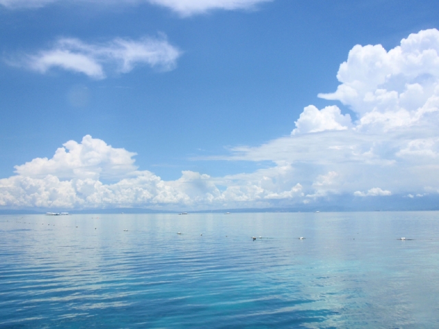 soku_17368.jpg :: セブ島 風景 自然 海 