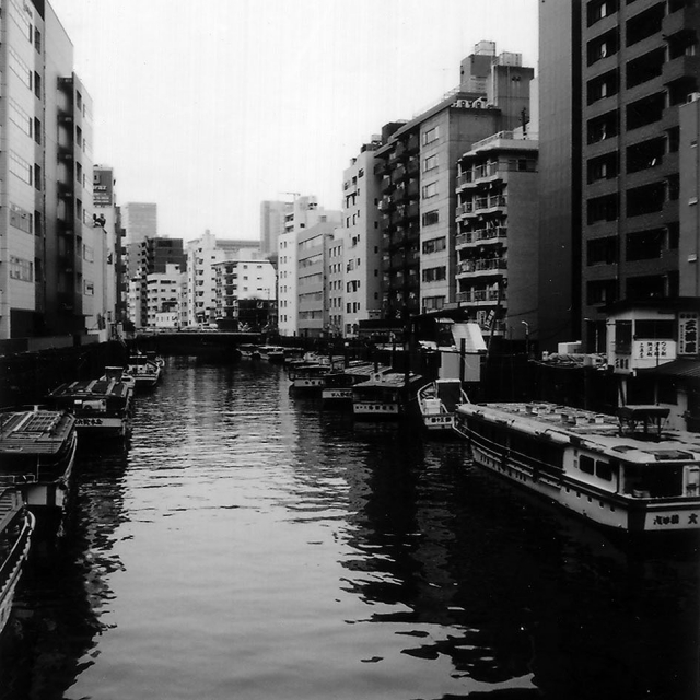 soku_17538.jpg :: 神田川 風景 自然 川 河川 屋形船 