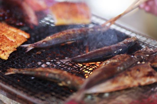 soku_17611.jpg :: 魚 食べ物 和食 焼魚 網焼き 