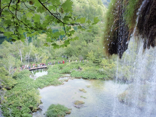 soku_17778.jpg :: クロアチア プリトヴィツェ 風景 自然 森林 川 渓谷 外国 
