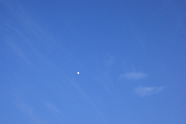 soku_18200.jpg :: 月 飛行機 ヒコーキが足りない by KIJ 