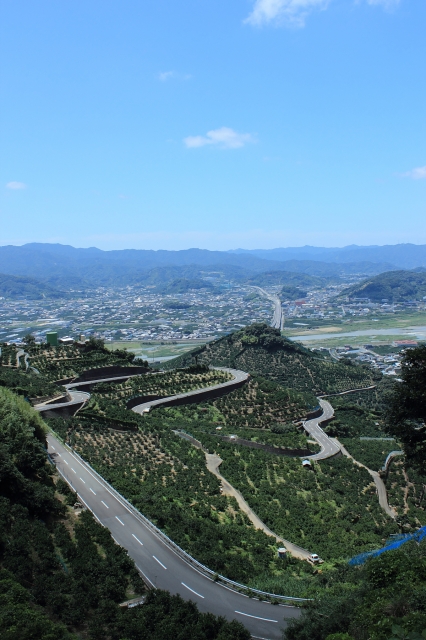 soku_18612.jpg :: 風景 道路 