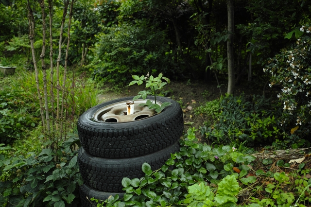 soku_18730.jpg :: 風景 自然 森林 雑木林 不法投棄 タイヤ 