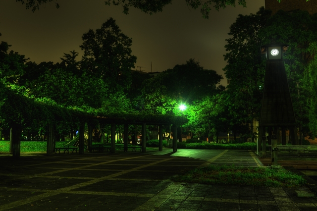 soku_18830.jpg :: 公園 清澄公園 夜景 