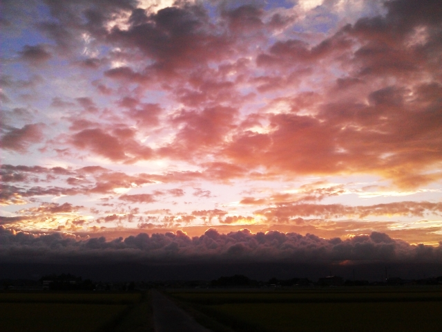 soku_19534.jpg :: 風景 自然 空 夕日 夕焼け 日没 