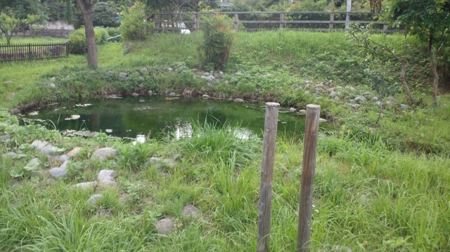 soku_19631.jpg :: 風景 自然 池 