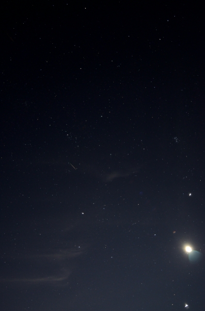 soku_19696.jpg :: ペルセウス座流星群 風景 自然 天体 星 