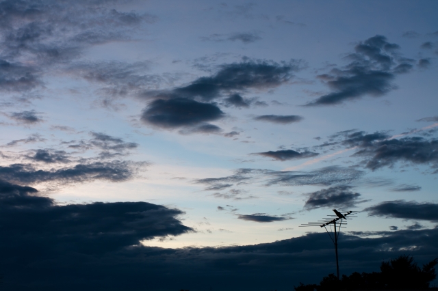 soku_19733.jpg :: 夕暮れ 空 雲 風景 鳥 カラス 