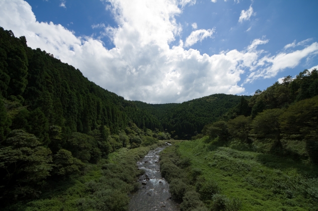 soku_20256.jpg :: 風景 自然 川 