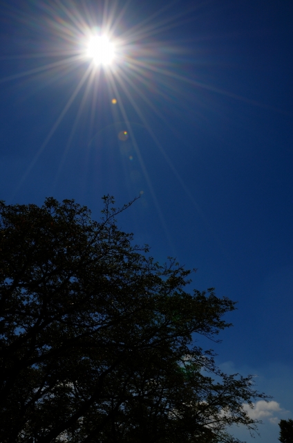 soku_20339.jpg :: 風景 自然 空 太陽 