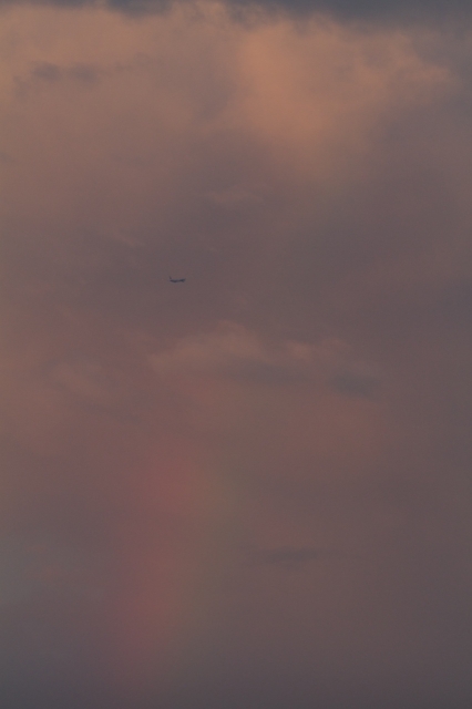 soku_20382.jpg :: 風景 自然 空 飛行機 虹 