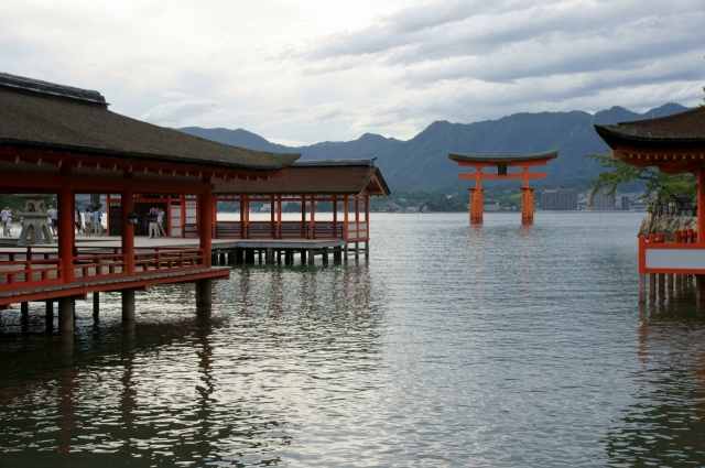 soku_20578.jpg :: 建築 建造物 神社 鳥居 