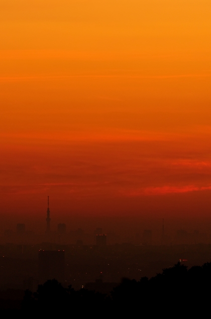 soku_20711.jpg :: 風景 自然 空 朝焼け 建築 建造物 塔 タワー 東京スカイツリー 東京タワー 