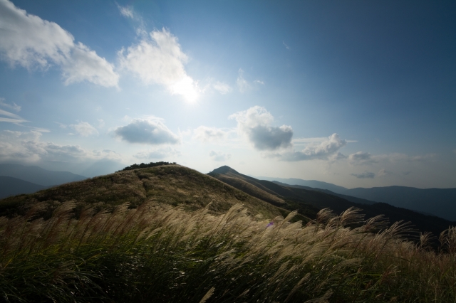 soku_20761.jpg :: 風景 自然 山 高原 ススキ 