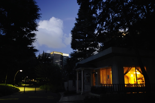 soku_20774.jpg :: 風景 街並み 公園 夜景 